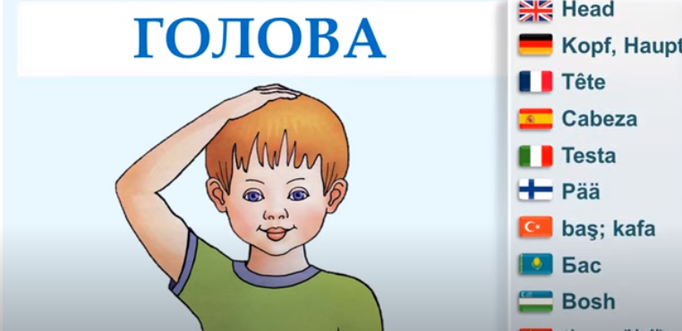 Практические задания Практические задания